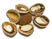 Africké Mango semena (Irvingia Gabonensis)